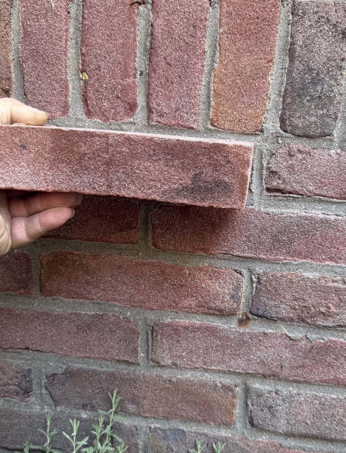Materiaalmonster wordt tegen bestaand metselwerk gehouden om kleur en structuur te beoordelen